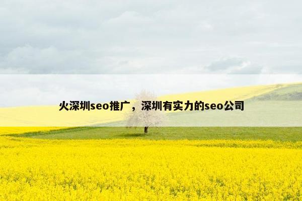 火深圳seo推广，深圳有实力的seo公司