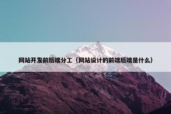 网站开发前后端分工（网站设计的前端后端是什么）