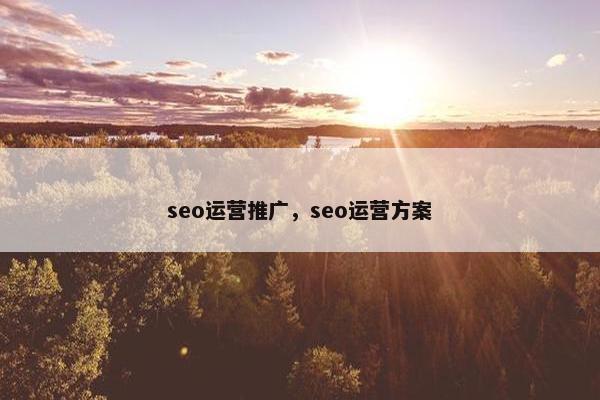 seo运营推广，seo运营方案