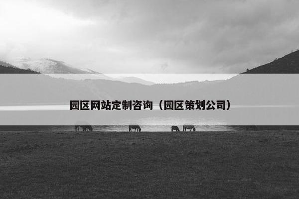 园区网站定制咨询（园区策划公司）