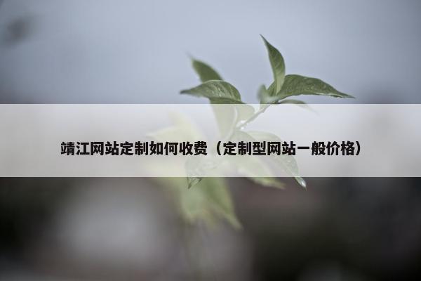靖江网站定制如何收费（定制型网站一般价格）