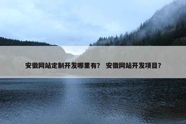 安徽网站定制开发哪里有？ 安徽网站开发项目？