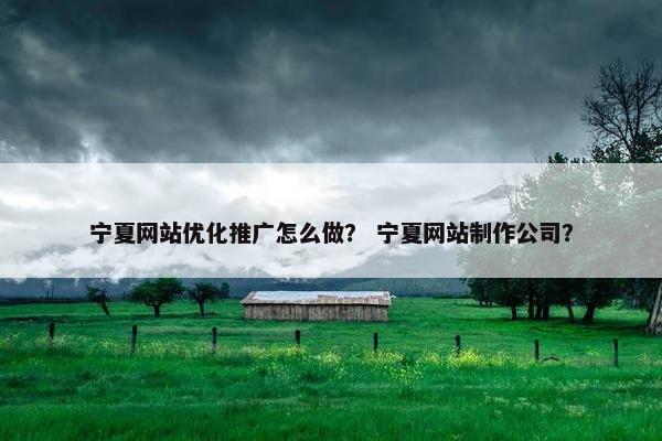 宁夏网站优化推广怎么做？ 宁夏网站制作公司？