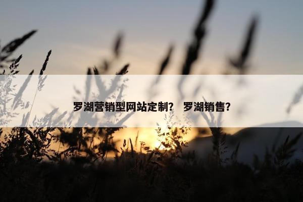 罗湖营销型网站定制? 罗湖销售? 罗湖营销型网站定制? 罗湖销售?