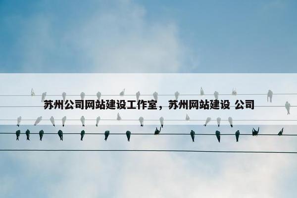 苏州公司网站建设工作室，苏州网站建设 公司