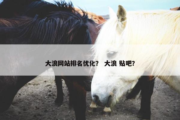 大浪网站排名优化？ 大浪 贴吧？