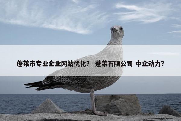 蓬莱市专业企业网站优化？ 蓬莱有限公司 中企动力？