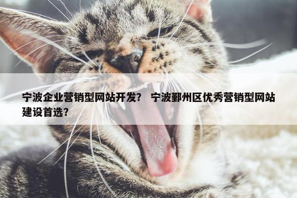 宁波企业营销型网站开发？ 宁波鄞州区优秀营销型网站建设首选？