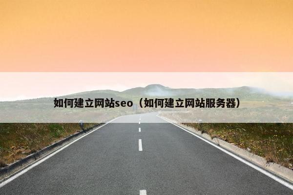 如何建立网站seo（如何建立网站服务器）