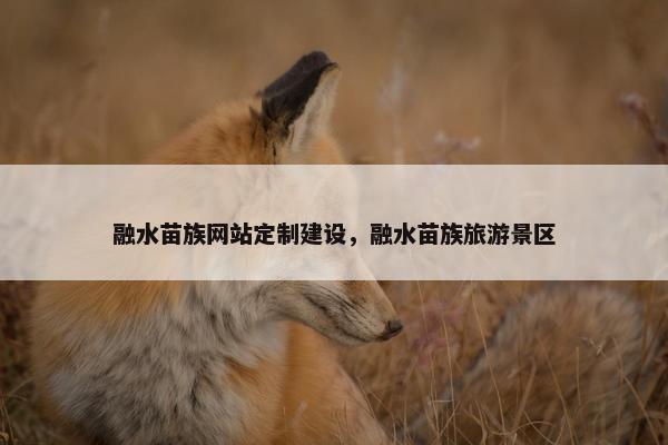 融水苗族网站定制建设，融水苗族旅游景区