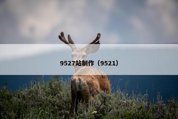 9527站制作（9521）