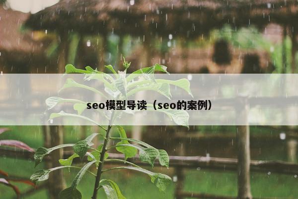 seo模型导读（seo的案例）