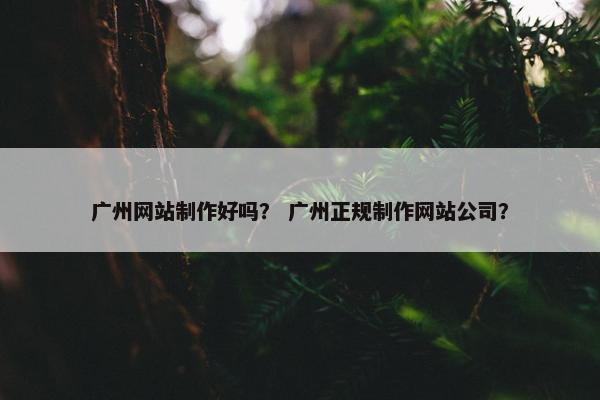 广州网站制作好吗？ 广州正规制作网站公司？