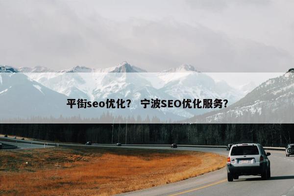 平街seo优化？ 宁波SEO优化服务？