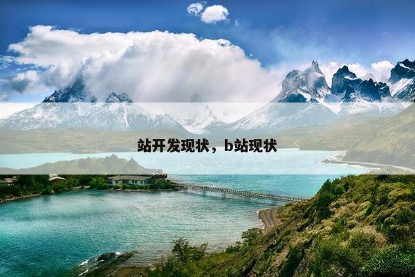 站开发现状，b站现状