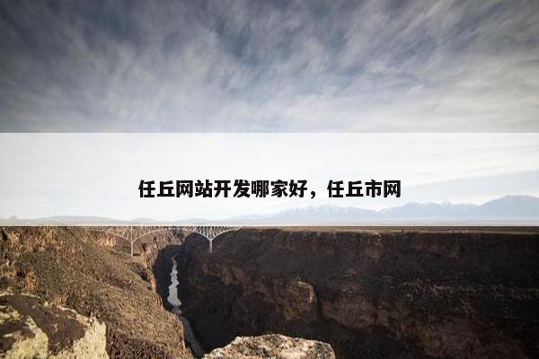 任丘网站开发哪家好，任丘市网