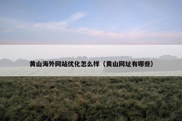 黄山海外网站优化怎么样（黄山网址有哪些）