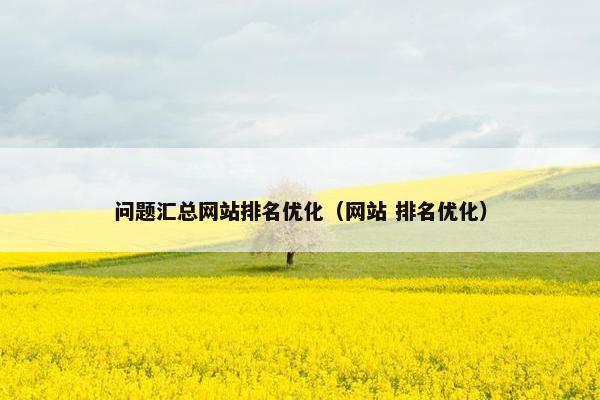 问题汇总网站排名优化（网站 排名优化）