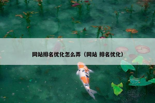 网站排名优化怎么弄（网站 排名优化）