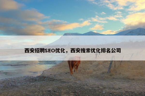 西安招聘SEO优化，西安搜索优化排名公司