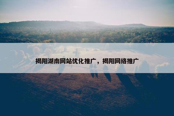 揭阳湖南网站优化推广，揭阳网络推广