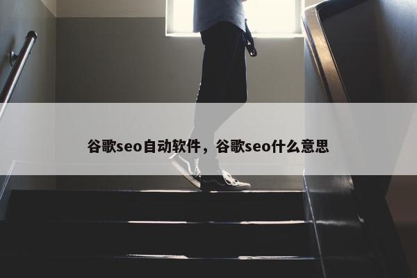 谷歌seo自动软件，谷歌seo什么意思