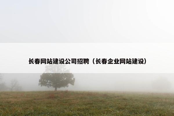 长春网站建设公司招聘（长春企业网站建设）
