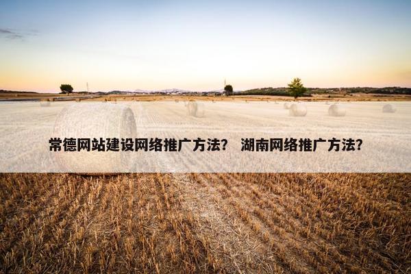 常德网站建设网络推广方法？ 湖南网络推广方法？
