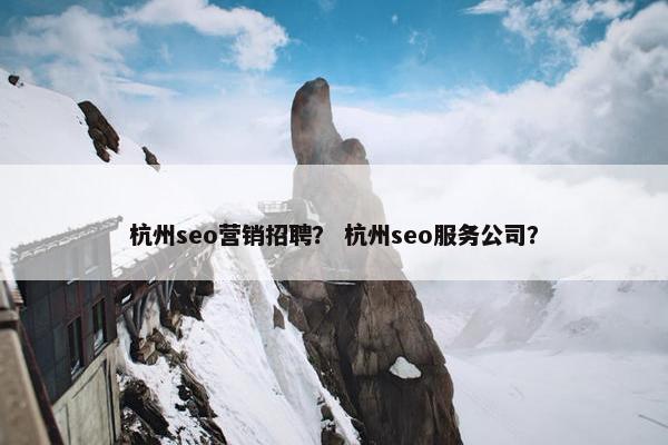 杭州seo营销招聘？ 杭州seo服务公司？