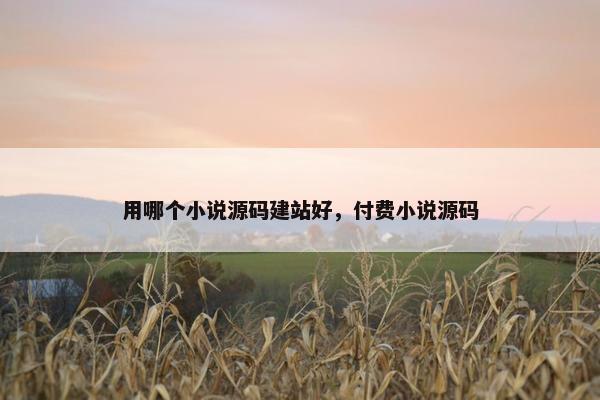 用哪个小说源码建站好，付费小说源码