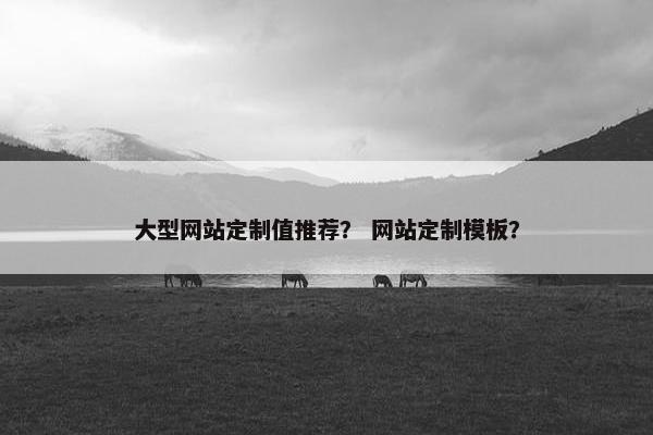 大型网站定制值推荐？ 网站定制模板？