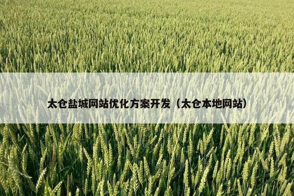 太仓盐城网站优化方案开发（太仓本地网站）