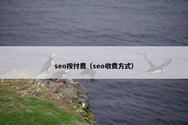 seo按付费（seo收费方式）