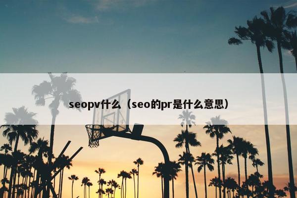 seopv什么（seo的pr是什么意思）