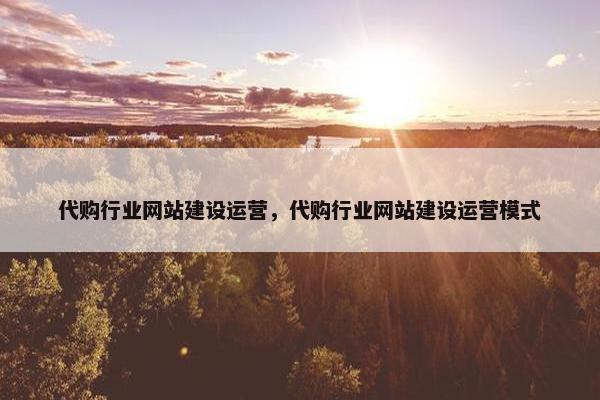 代购行业网站建设运营，代购行业网站建设运营模式