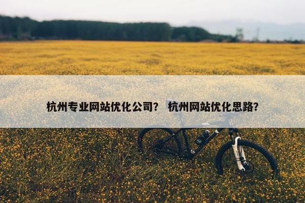 杭州专业网站优化公司？ 杭州网站优化思路？