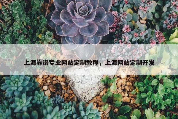 上海靠谱专业网站定制教程，上海网站定制开发