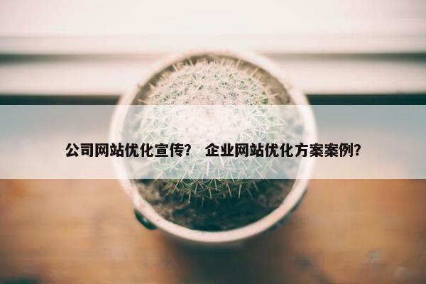 公司网站优化宣传？ 企业网站优化方案案例？