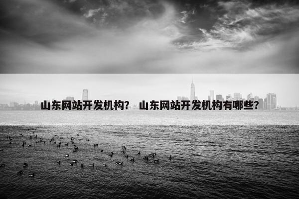 山东网站开发机构？ 山东网站开发机构有哪些？