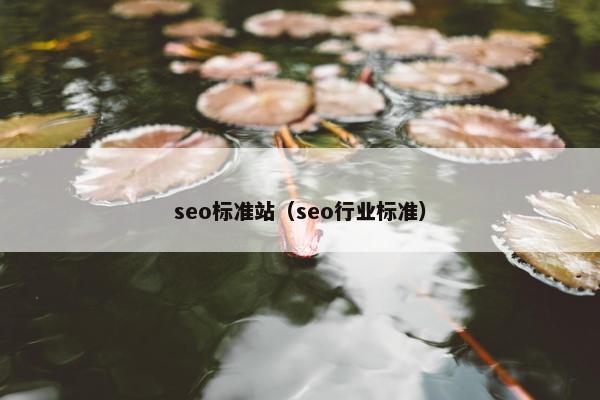 seo标准站（seo行业标准）
