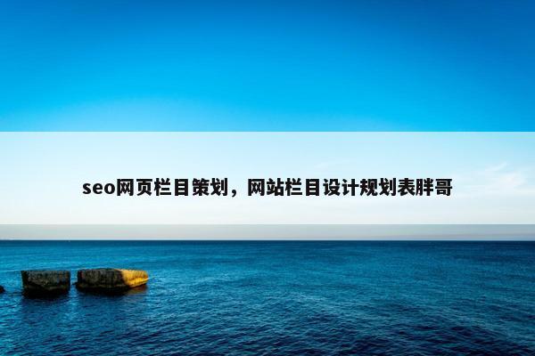 seo网页栏目策划，网站栏目设计规划表胖哥