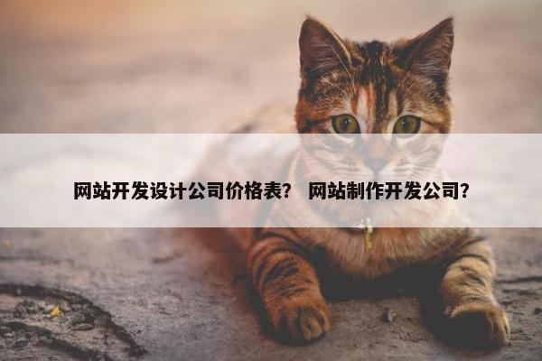 网站开发设计公司价格表? 网站制作开发公司? 网站开发设计公司价格表? 网站制作开发公司?
