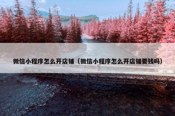 微信小程序怎么开店铺（微信小程序怎么开店铺要钱吗）