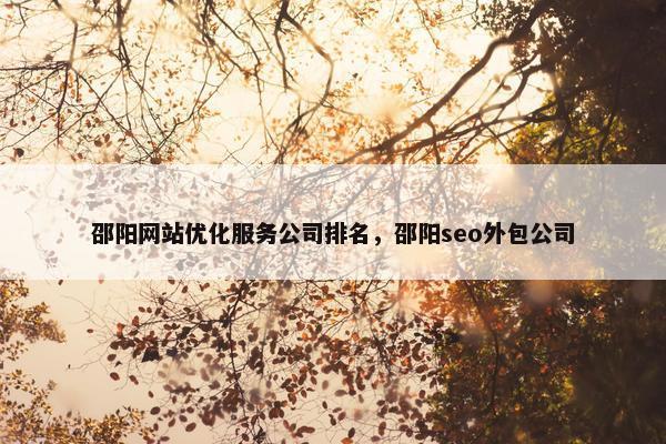 邵阳网站优化服务公司排名，邵阳seo外包公司