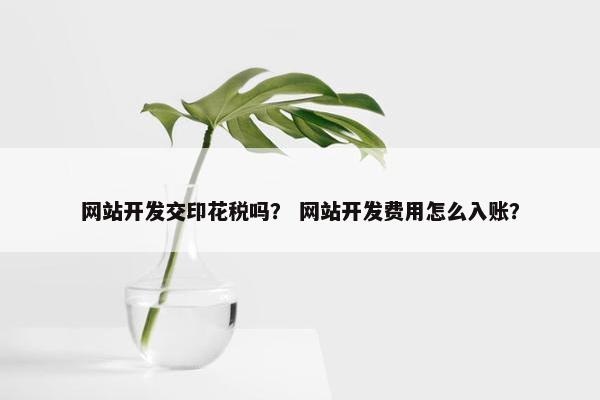 网站开发交印花税吗？ 网站开发费用怎么入账？