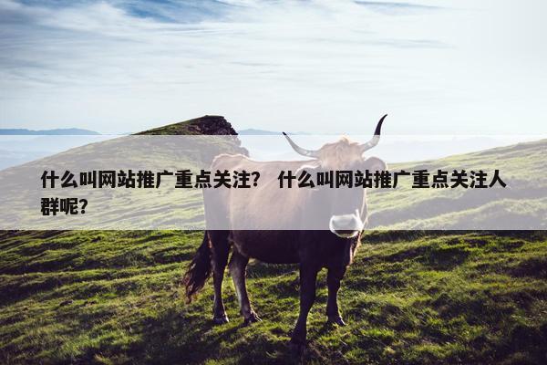 什么叫网站推广重点关注？ 什么叫网站推广重点关注人群呢？