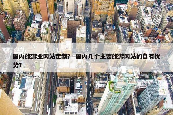 国内旅游业网站定制？ 国内几个主要旅游网站的自有优势？
