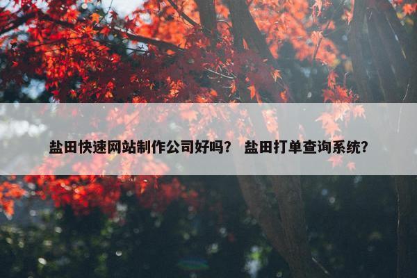 盐田快速网站制作公司好吗？ 盐田打单查询系统？