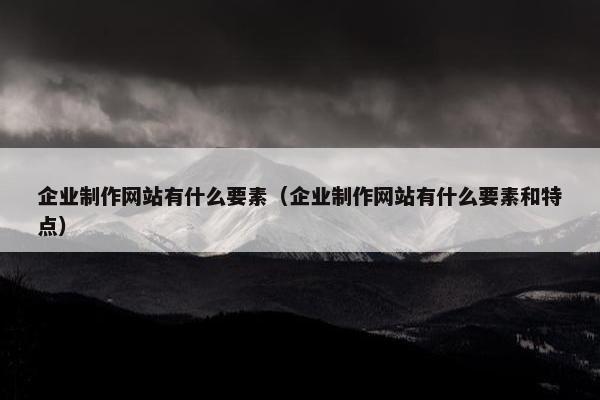 企业制作网站有什么要素（企业制作网站有什么要素和特点）