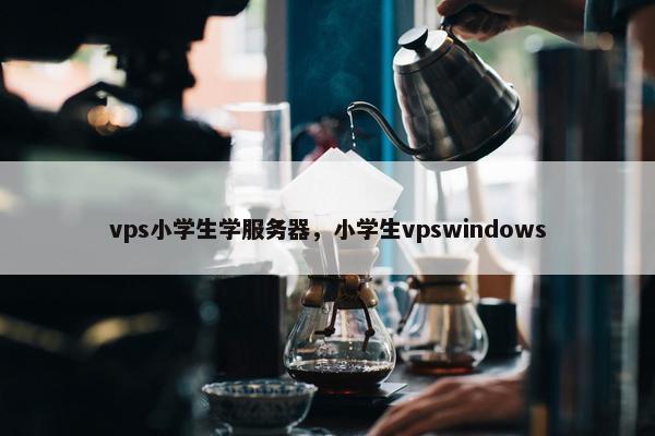vps小学生学服务器，小学生vpswindows